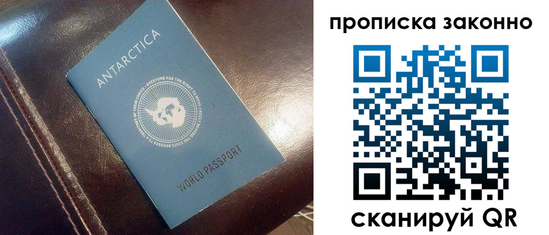 прописка в квартире в Калининградской области